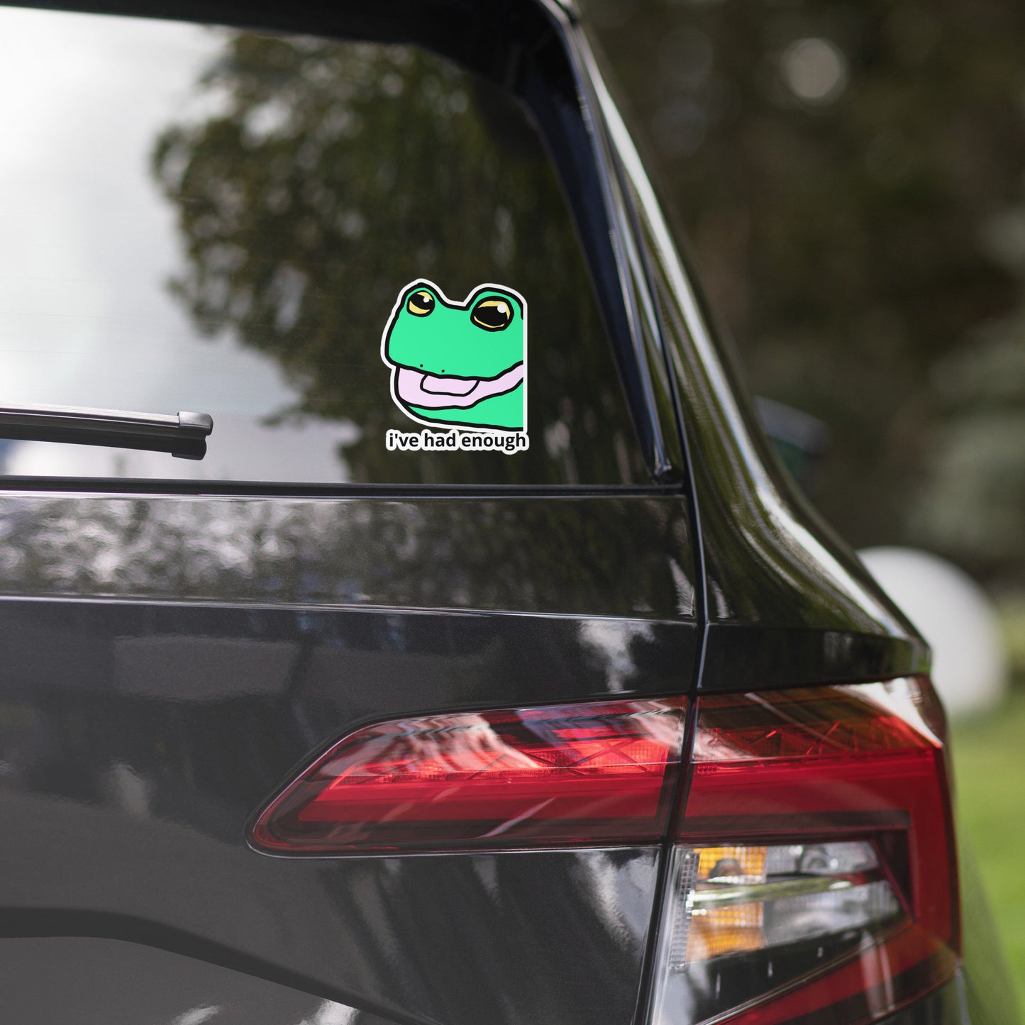 Vinyl Sticker I've had enough Frog meme Laptop Bottle Decal Waterproof