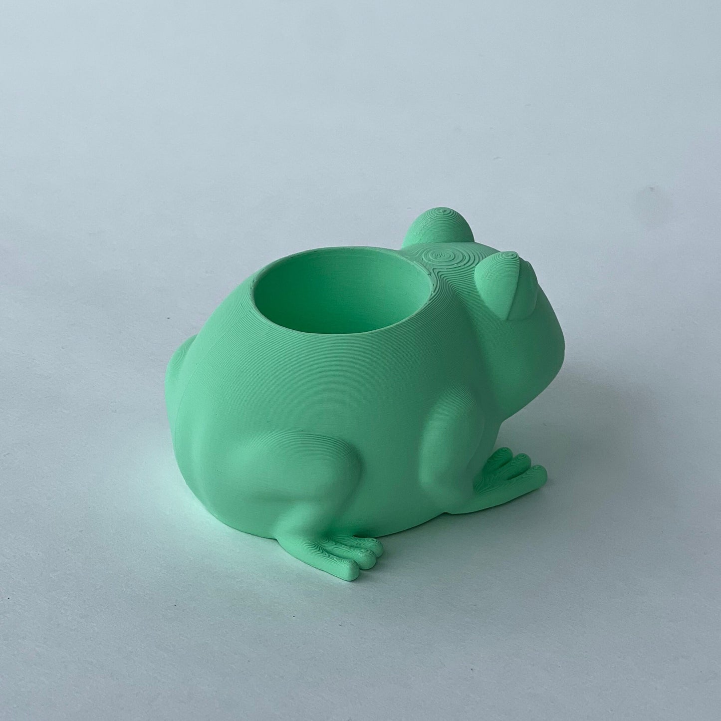 Frog Plant Pot Planter Desk Organizer Decor Office Accessory