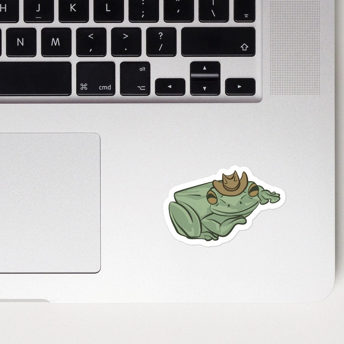 Cowboy Frog Sticker | Laptop Bottle Vinyl Decal | Waterproof