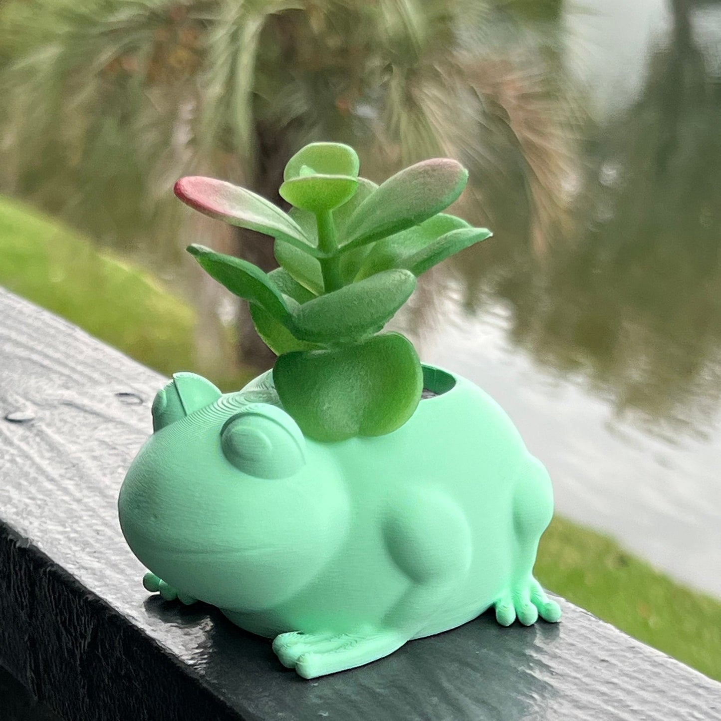 Frog Plant Pot Planter Desk Organizer Decor Office Accessory