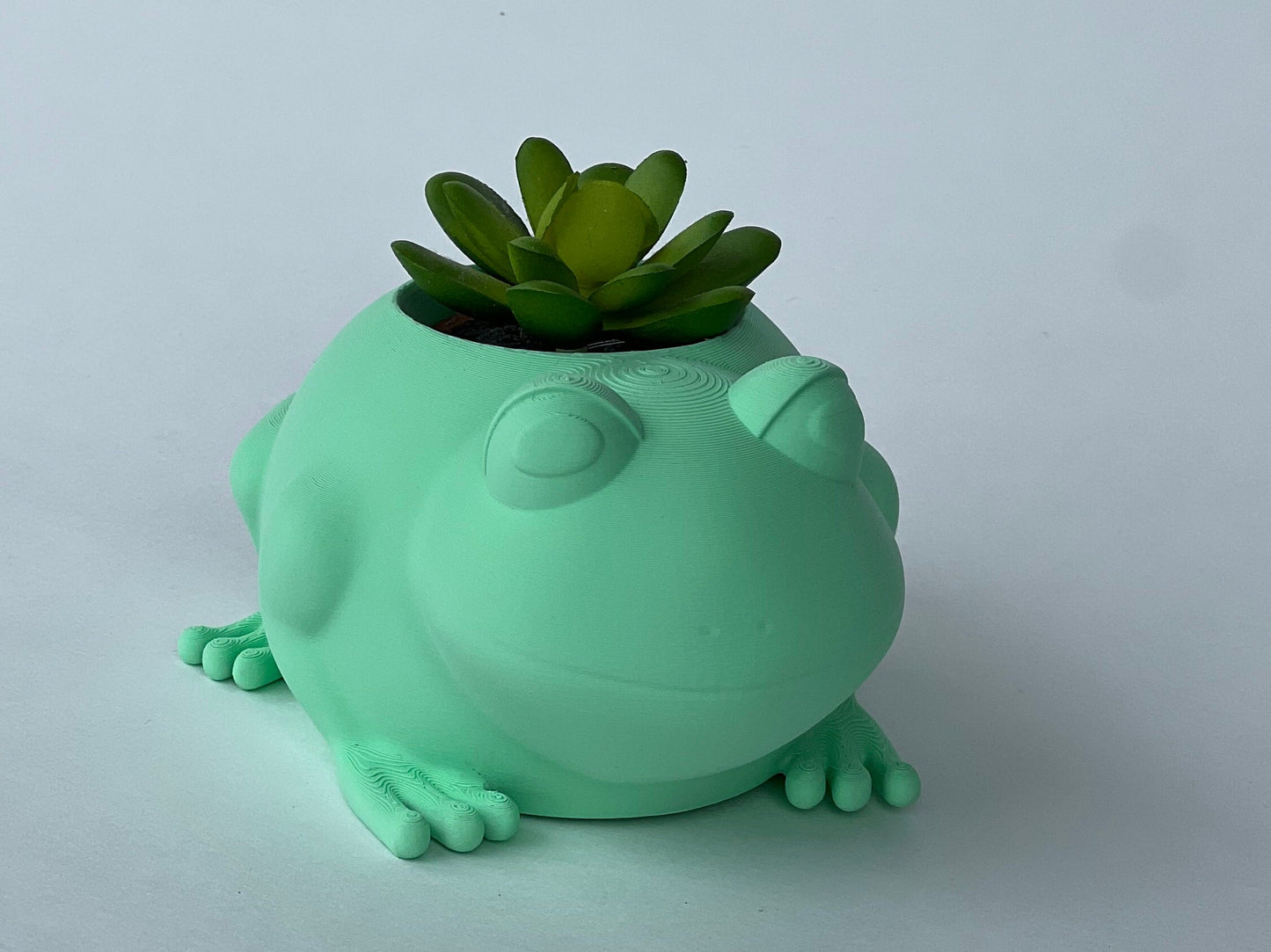 Frog Plant Pot Planter Desk Organizer Decor Office Accessory