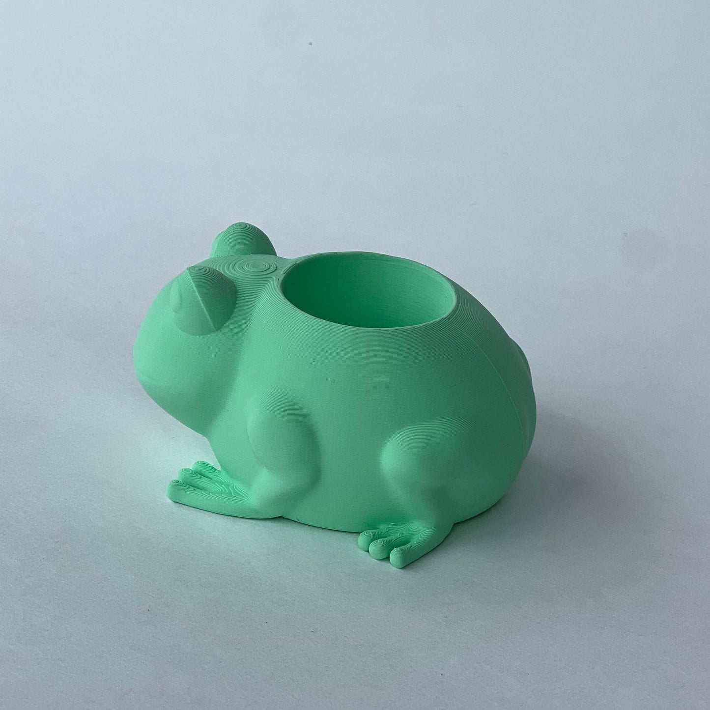 Frog Plant Pot Planter Desk Organizer Decor Office Accessory